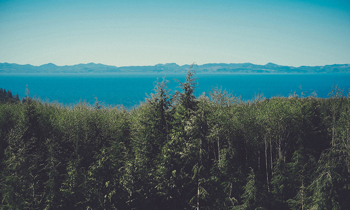 无限轰炸手机号码软件