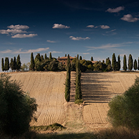 智能高效便利的轰炸电话在线使用